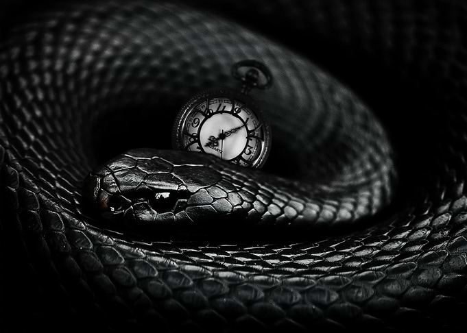 black snake with clock