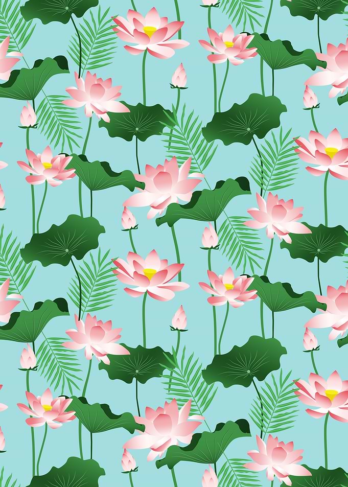 Lotus Love II