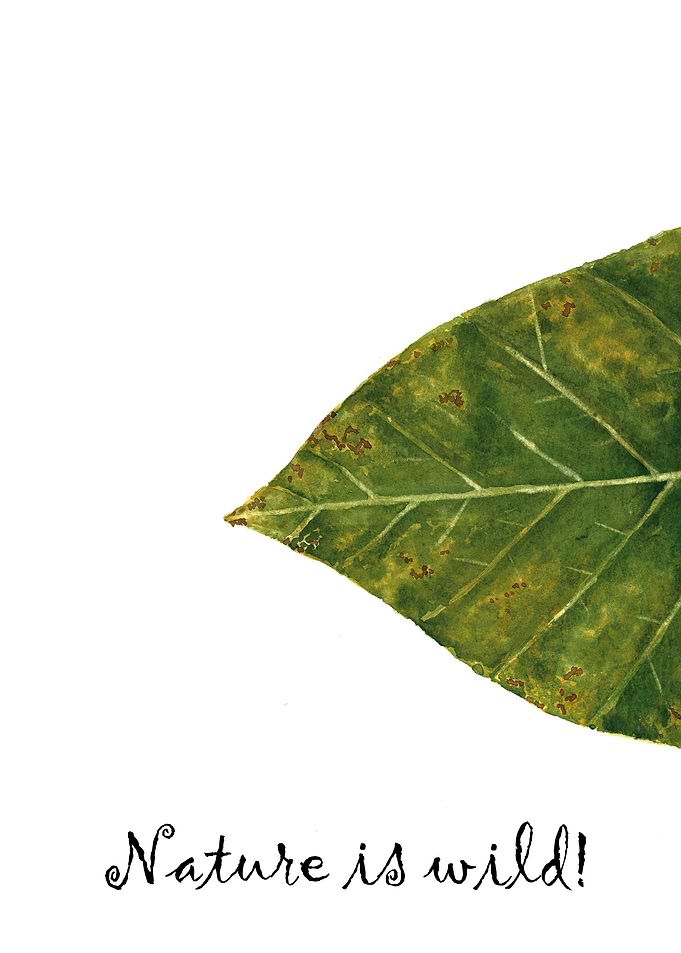 Leaf part 1