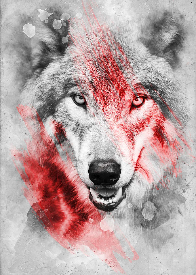 Wolf