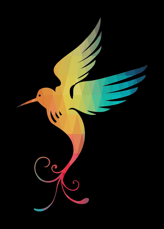 Rainbow bird