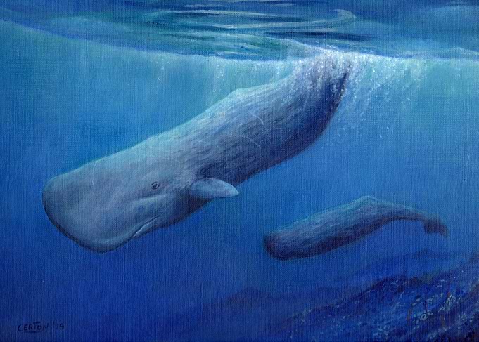 Mother whale and calf