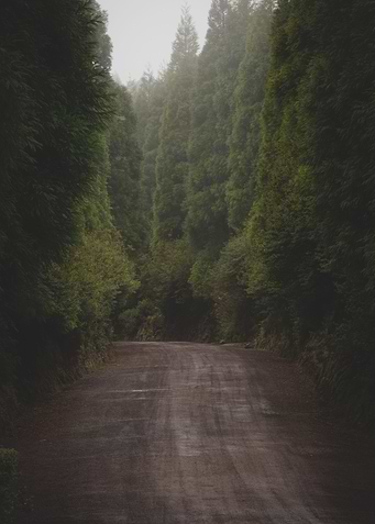 Spooky Pathway