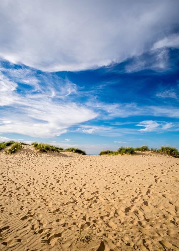 Wells Beach Dunes