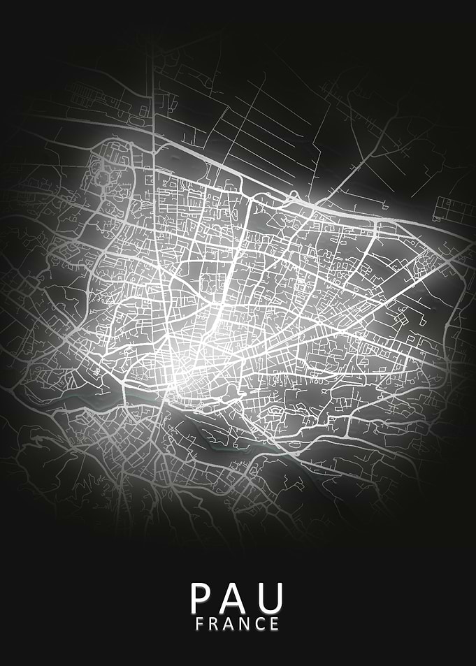 Pau France City Map