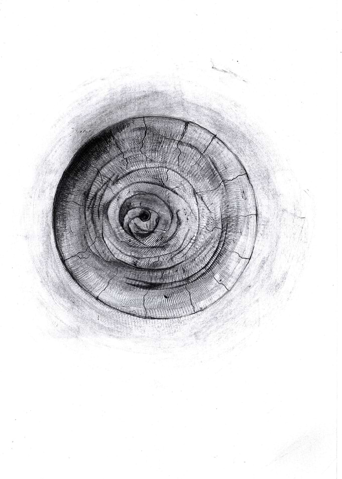 Black Hole Eyes