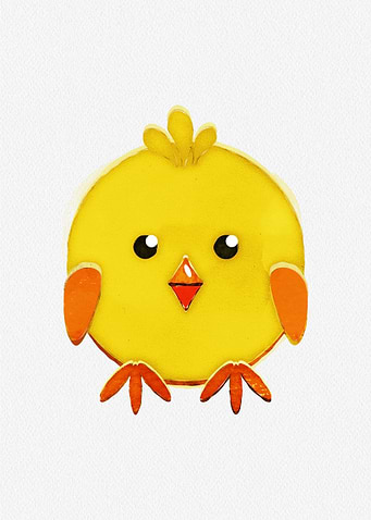 Cute baby Chicken Chick