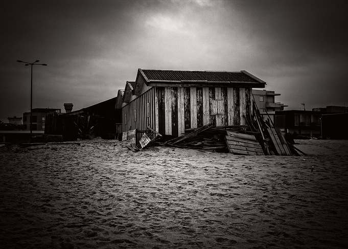 Shelter