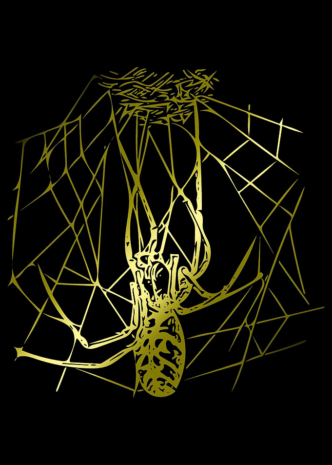 Spider and Web