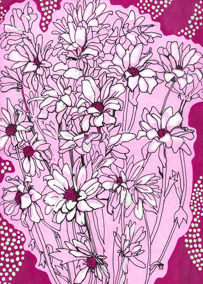 Daisy Chrysanthemum Floral