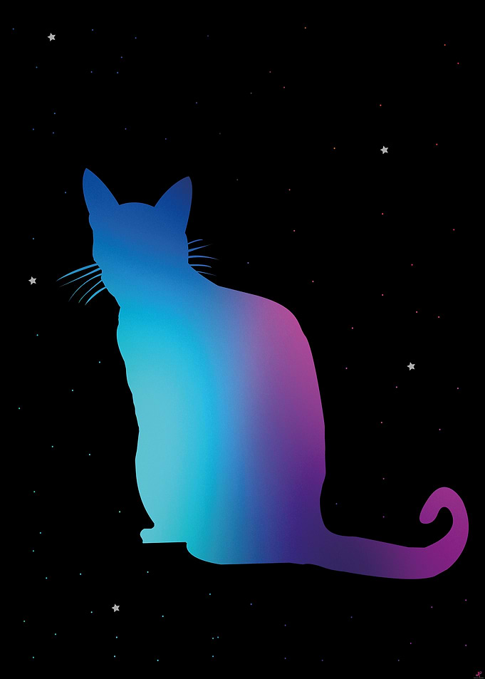 gato