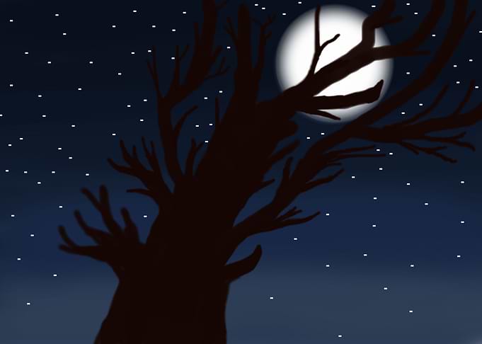 NIGHTLIGHT