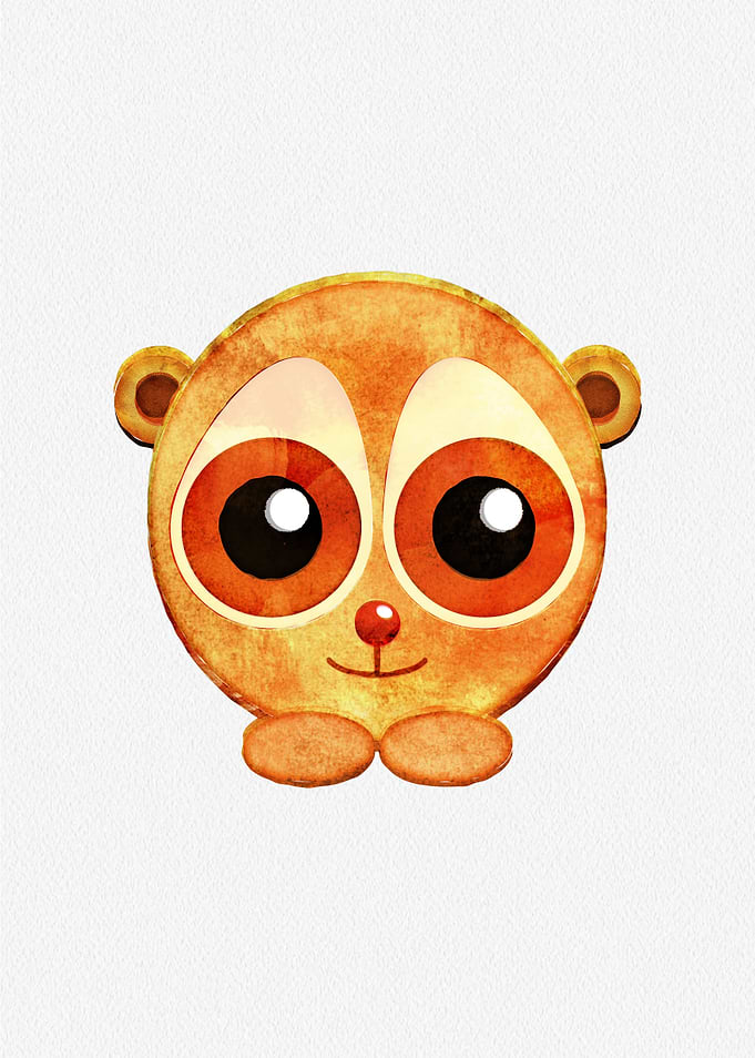 Slow Loris Cute Animal