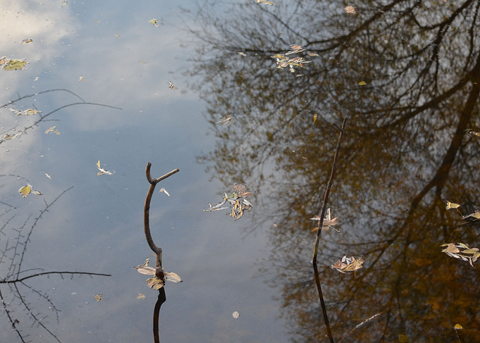 Calm water