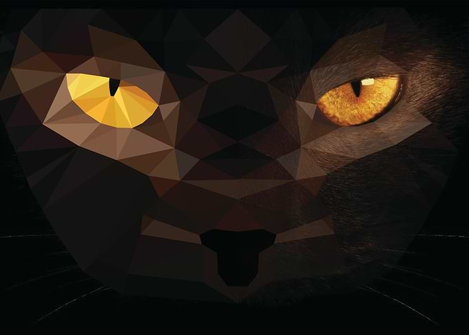 Black Cat
