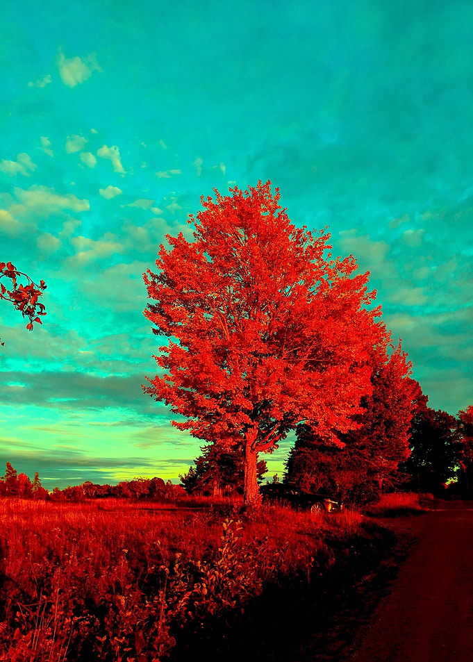 Fire Fall