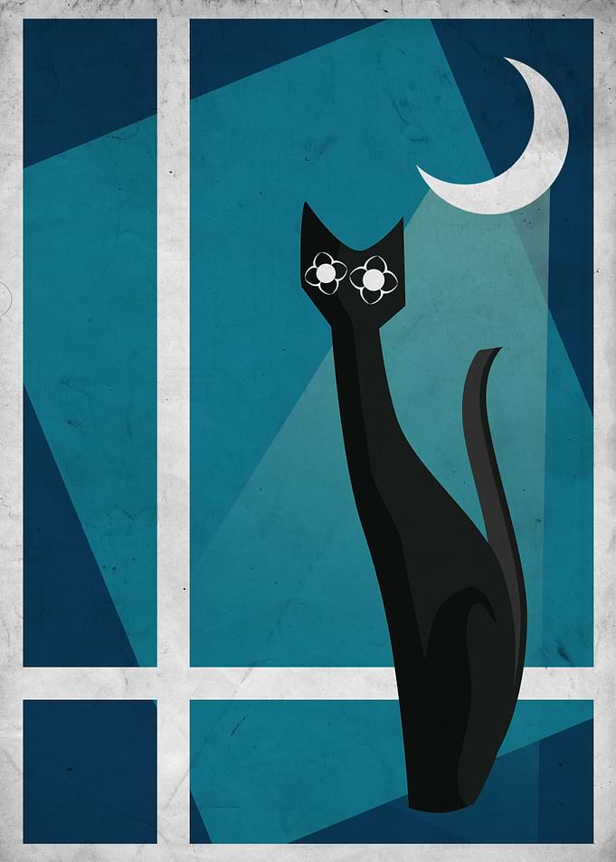 Window Cat
