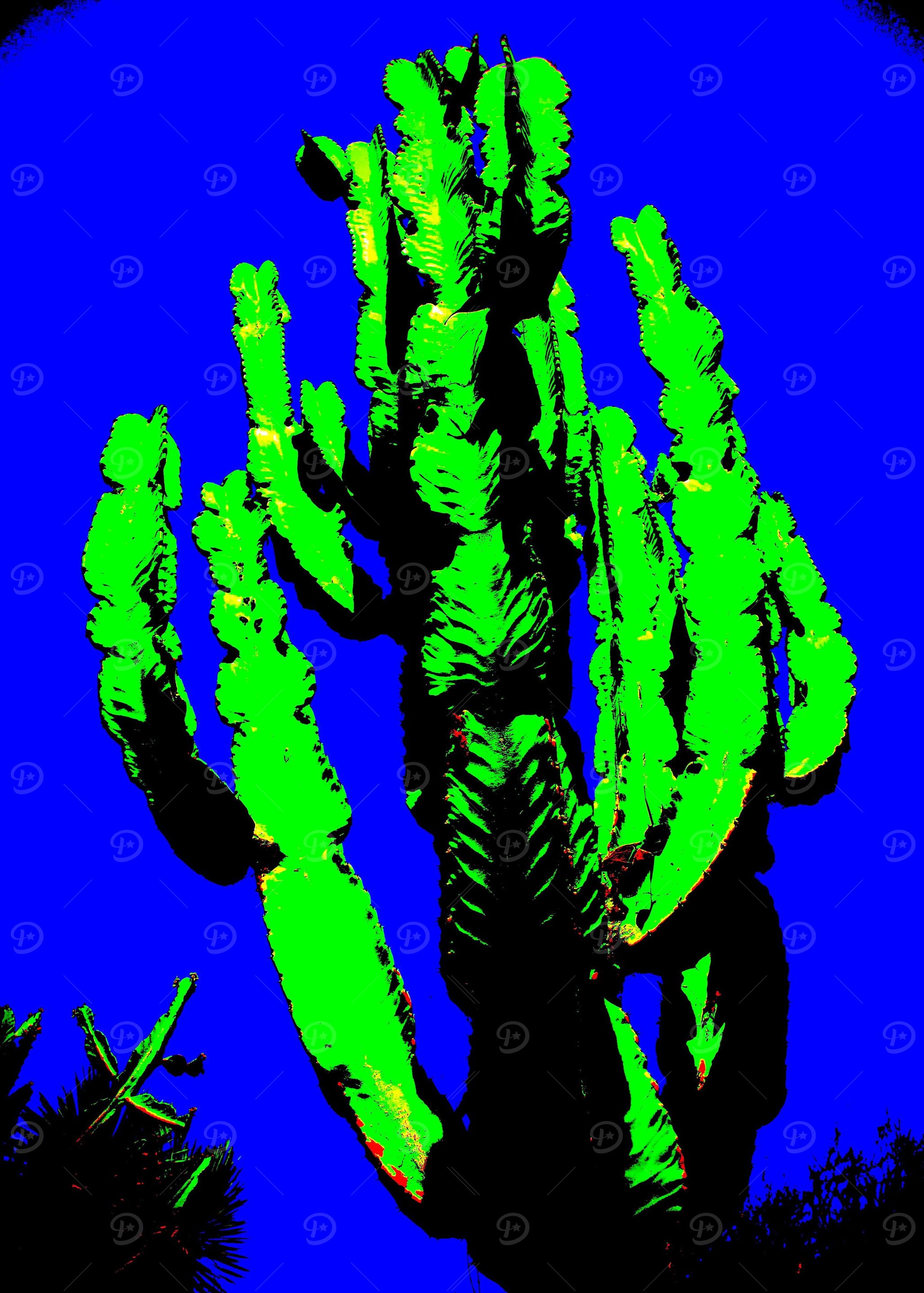 Eight Arms to Hold You