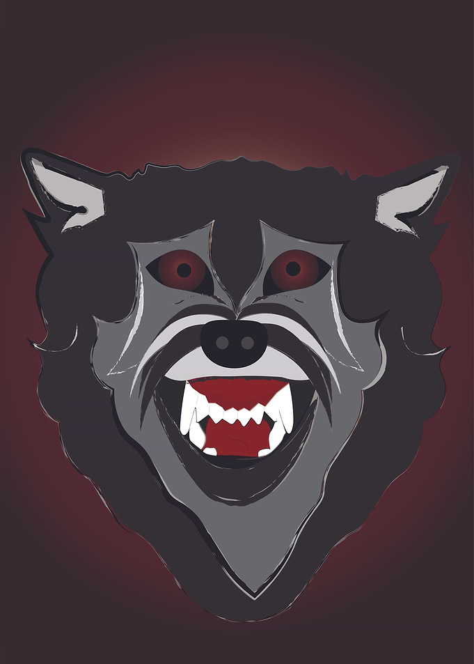 THE VENGEFUL WOLF