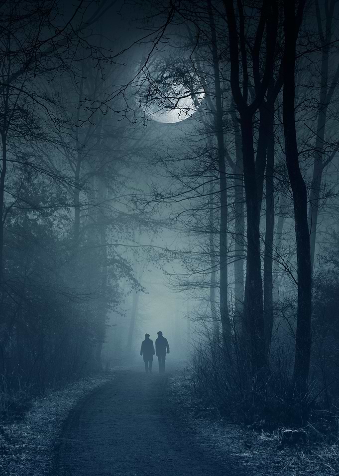 By the Moonlight