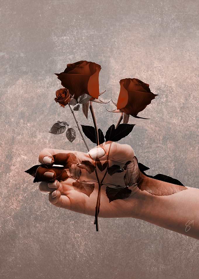Hand and Roses brown