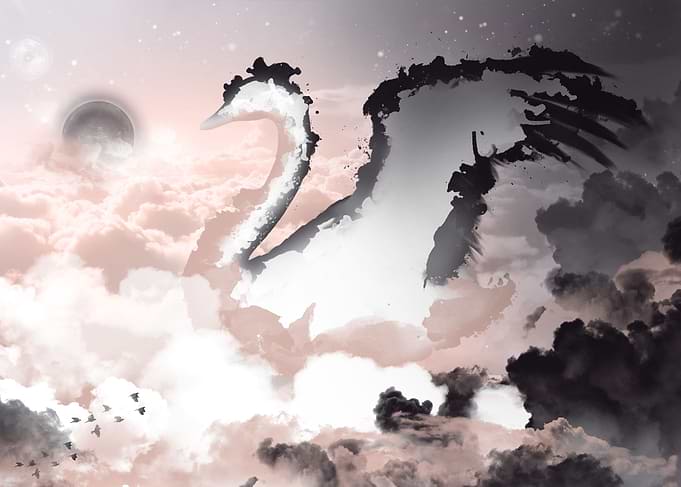 Cloud Swan