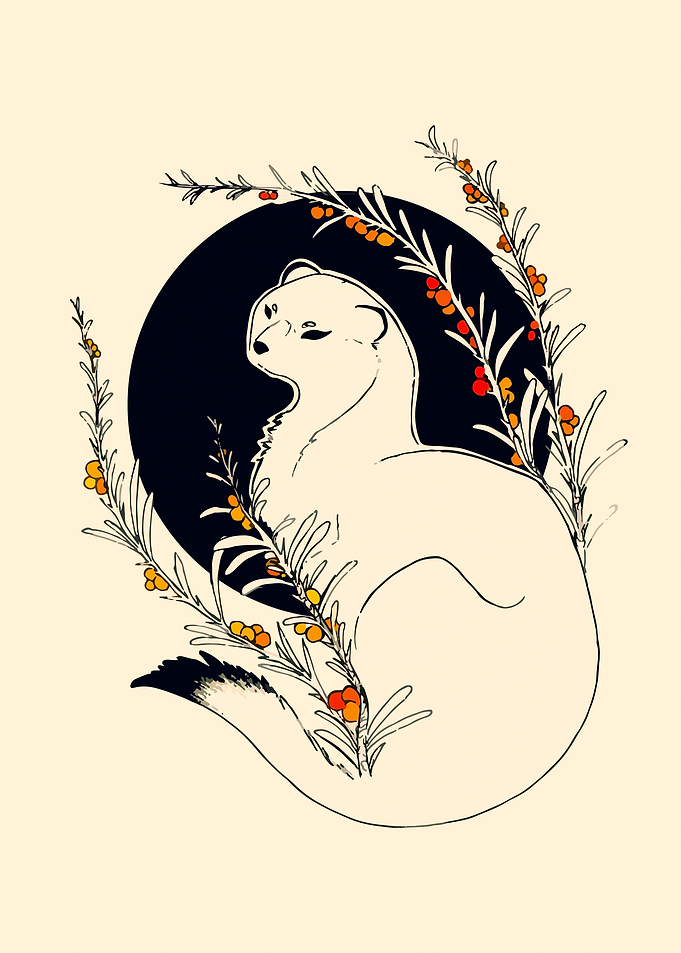 Snow weasel