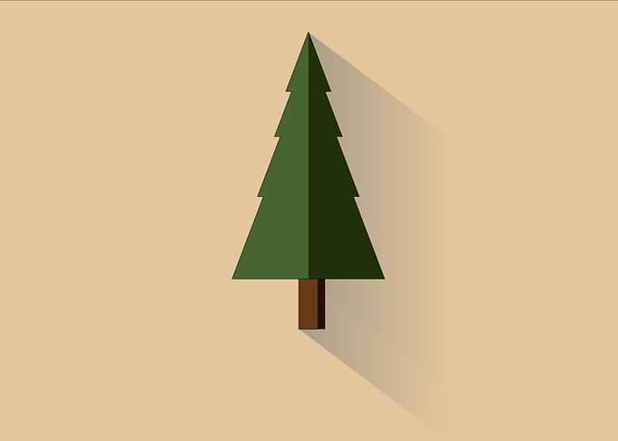 The lone pine tree
