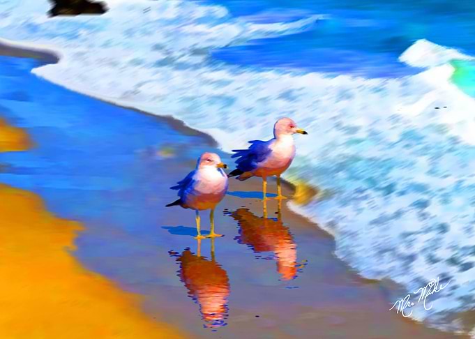 Malibu Sandpiper sisters