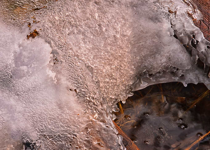 Spring thaw Puddle
