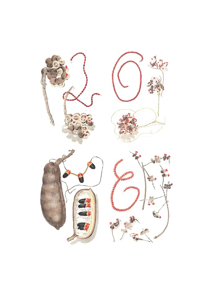 Love Pods 2