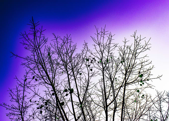 night blue sky