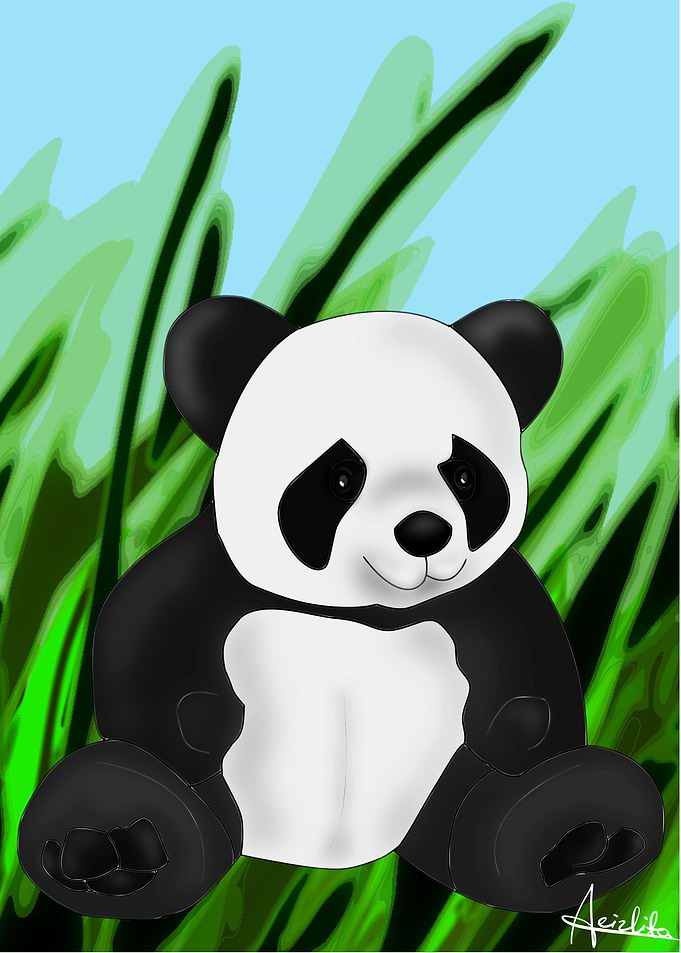 Panda Bear