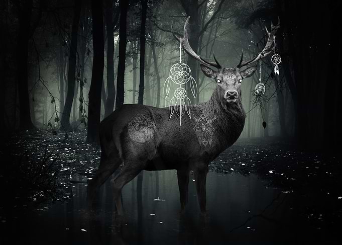 Dark Stag