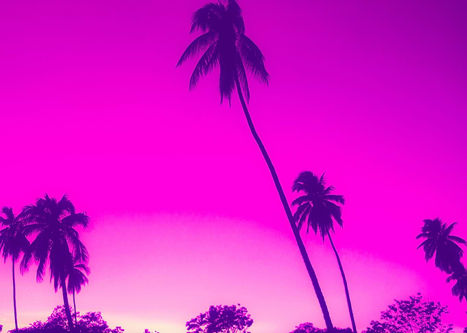 80s Tropical Vibe