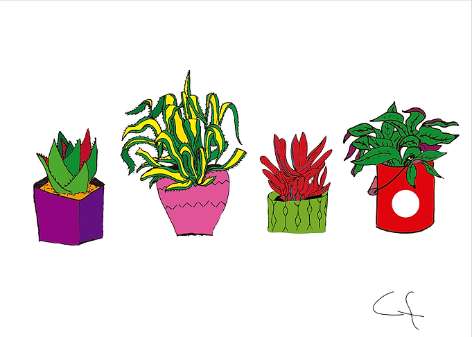Four Plants