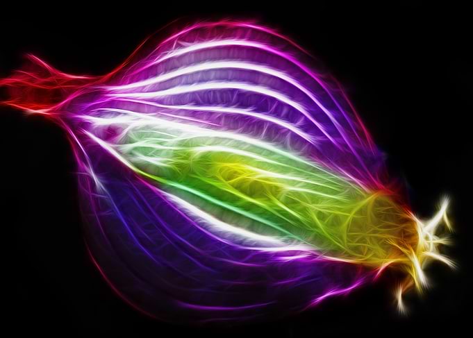 Red Onion