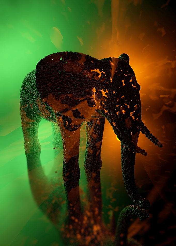 Abstract elephant 12