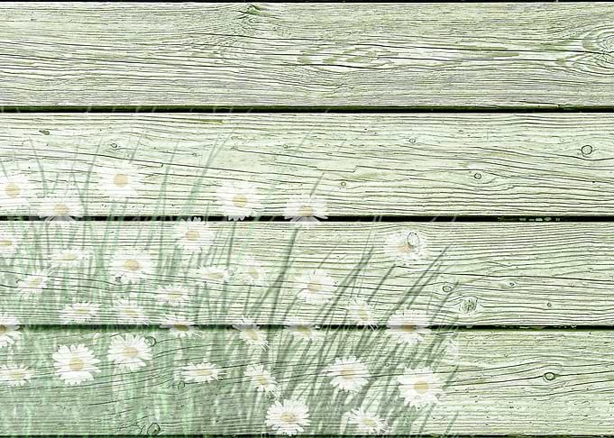Vintage Shabby Chic Daisy