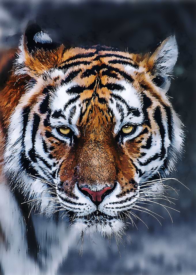 Wild Tiger