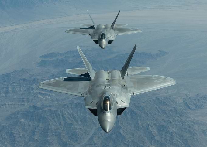 Pair of Raptors