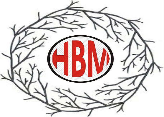HOLY BIBLE MISSION HBM PAK