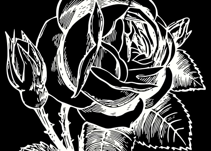 Inverted Sketched Rose