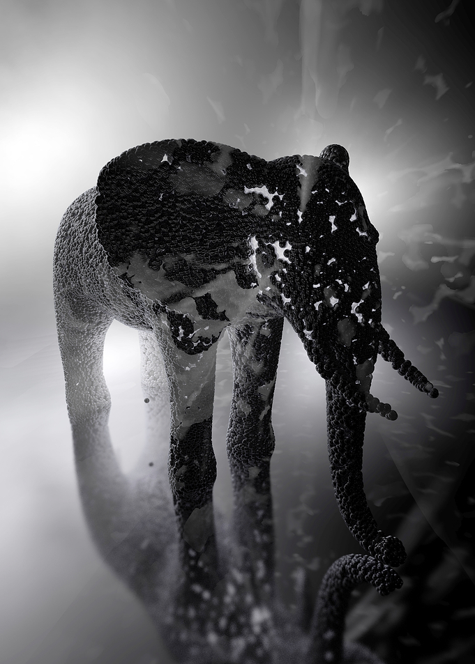 Abstract elephant 4