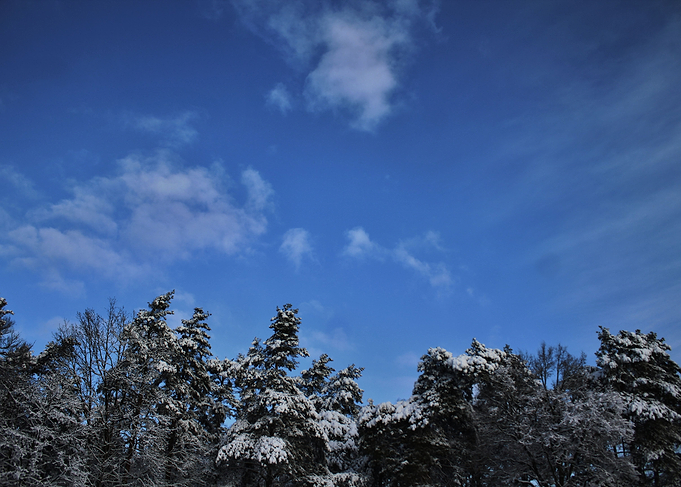 Beautiful winter day