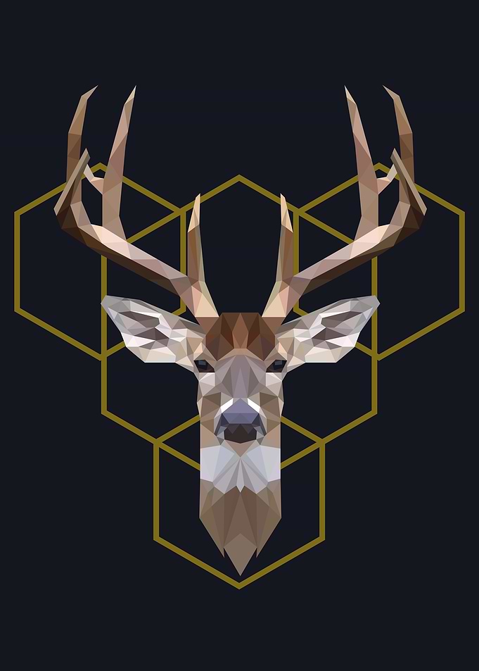 deer polygon symmetric
