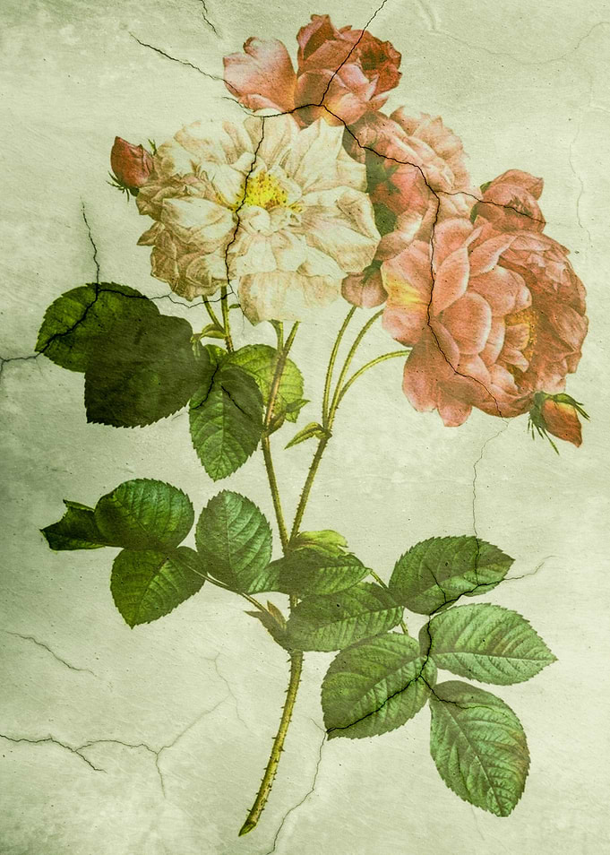 Vintage Shabby Chic Peony