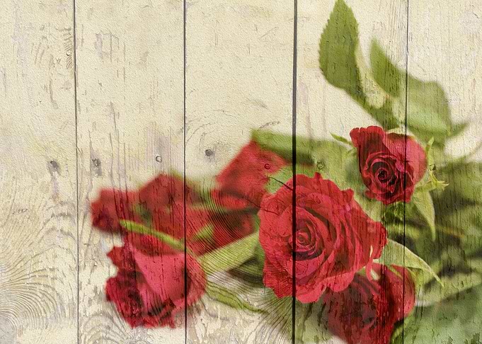 Shabby Chic Country Roses