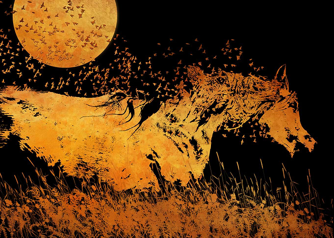 By The Light Of The Moon