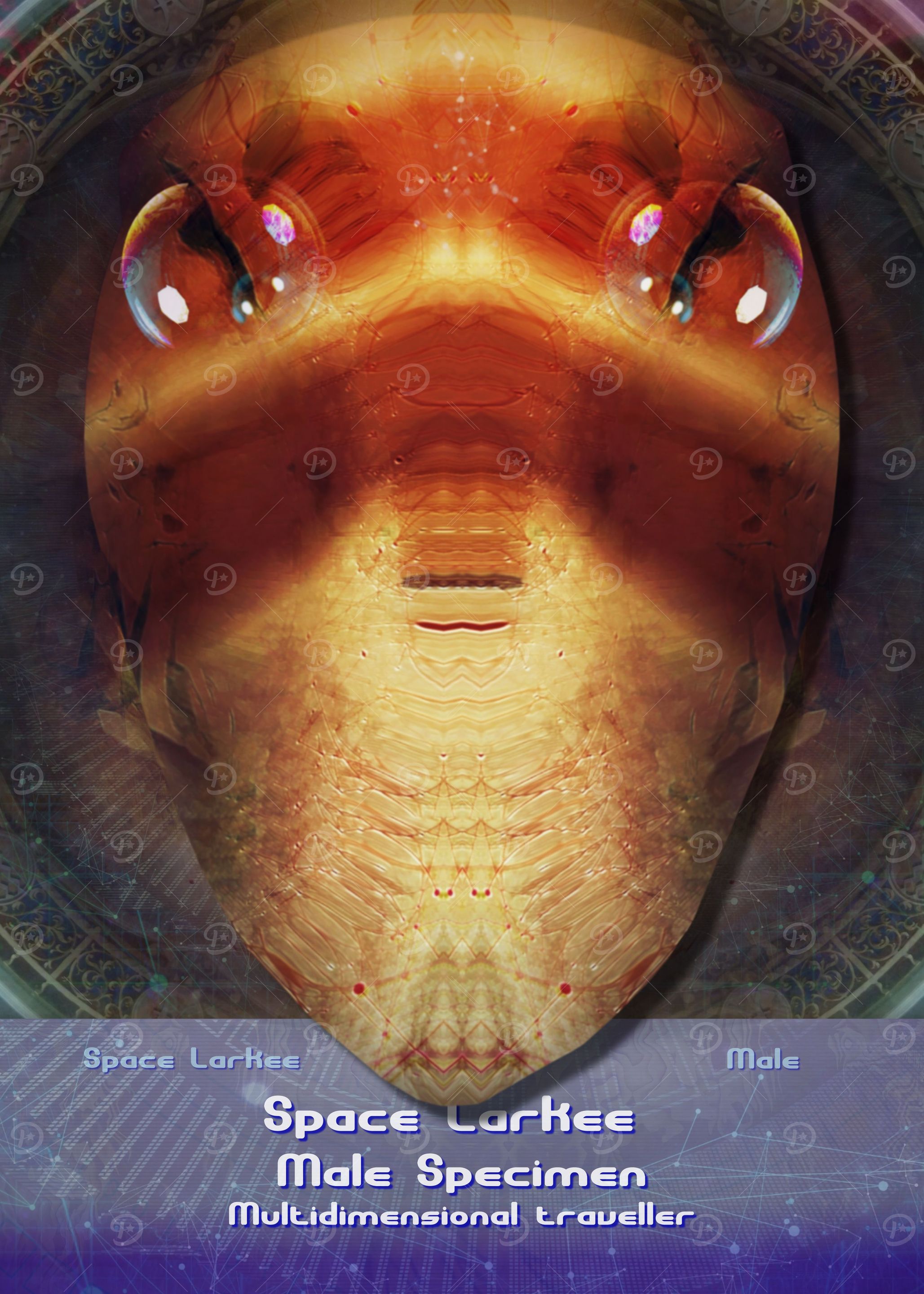 Space Larkee Male Specimen